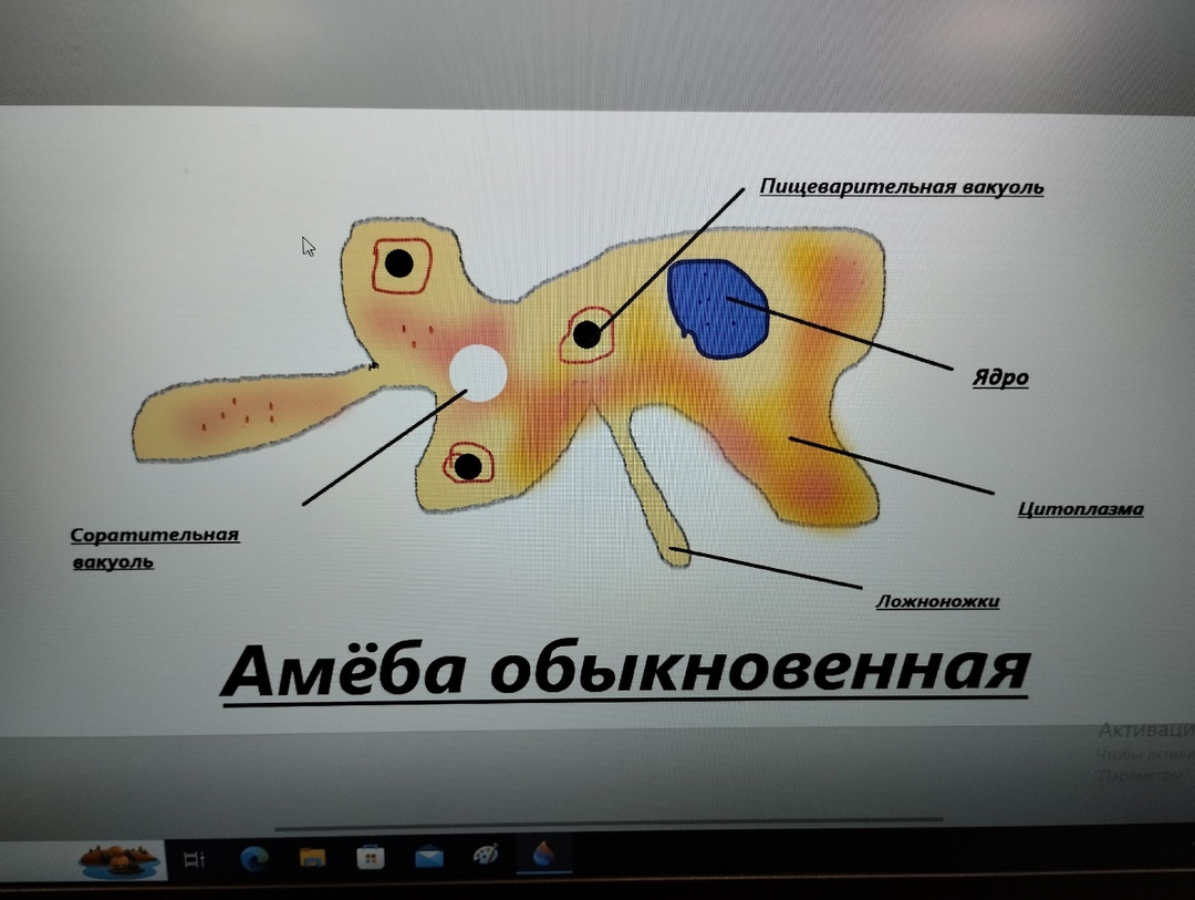 ТО &amp;quot;Студия научной мультипликации&amp;quot;.